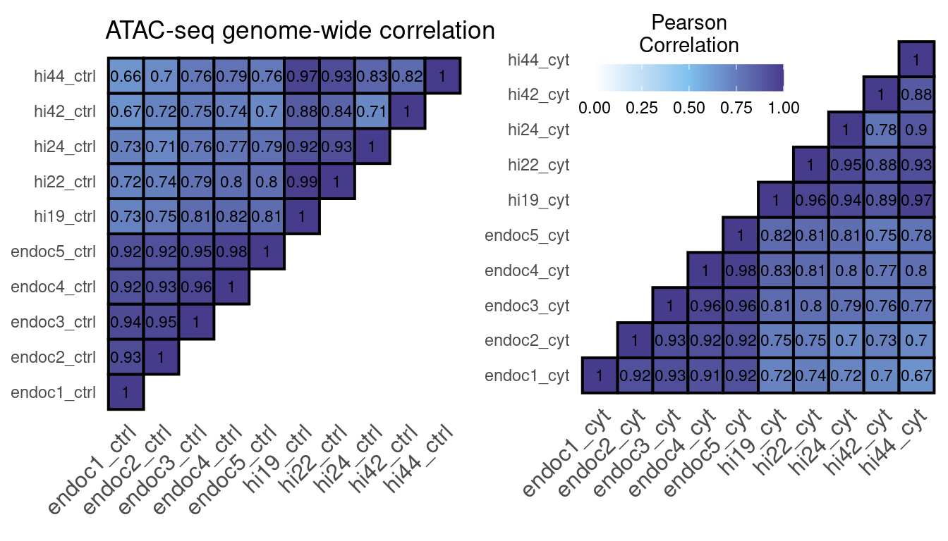 ATAC-seq correlation using the number of reads in a 10kb binned genome normalized with DESeq2.