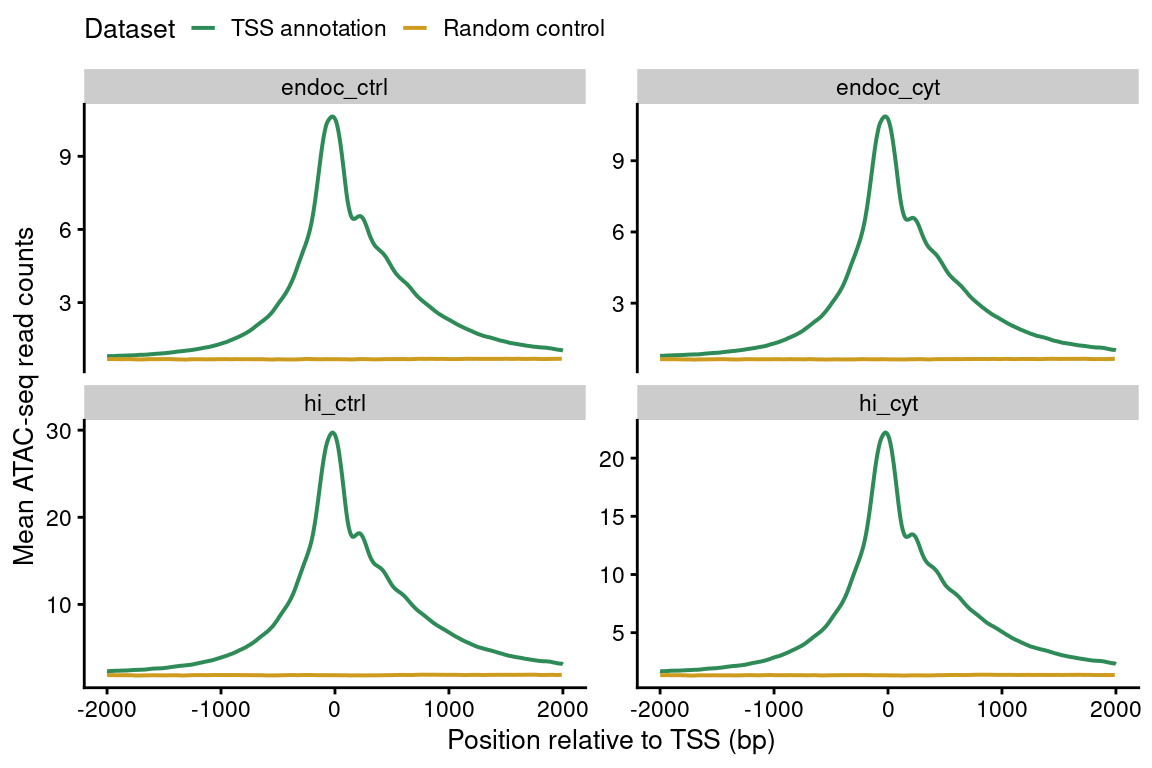 Enrichment of ATAC-seq reads around protein-coding TSS compared to a randomized set of regions.