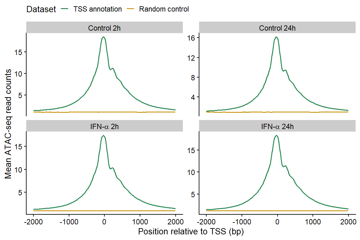 Enrichment of ATAC-seq reads around protein-coding TSS compared to a randomized set of regions.