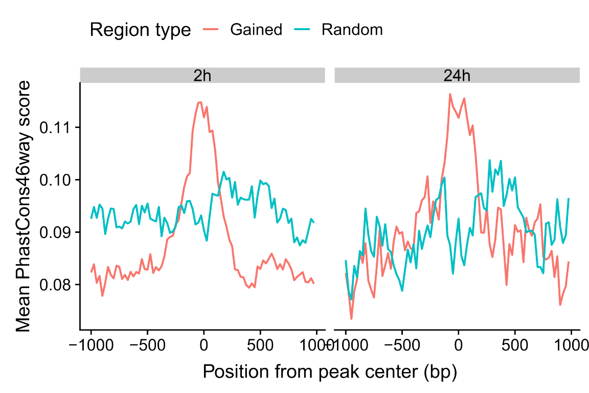 Mean phastCons sequence conservation scores of gained OCRs.